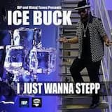 I Just Wanna Step - Radio