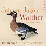 Scherzi da Violino Solo, No. 10: Imitatione del cuccu: VIII. Adagio II