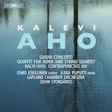 Concerto for Guitar and Chamber Orchestra: III. Interludio