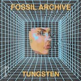 Fear and Indignation (Acid dub)