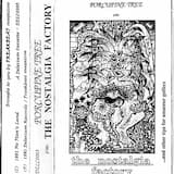 No Luck With Rabbits