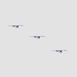 The Birds of Finland