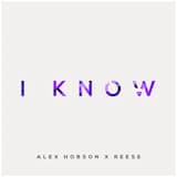 I Know (Mallin remix)