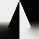 Shadow of Love (extended mix)