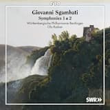 Symphony No. 2 in E-Flat Major: I. Andante sostenuto - Agitato
