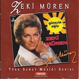 Gönül Penceresinden Ansızın Bakıp Geçtin