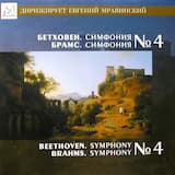 Symphony no. 4 in E minor, op. 98: I. Allegro ma non troppo