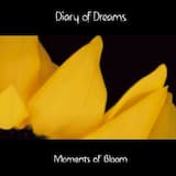 Moments of Bloom