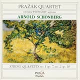 String Quartet No. 1 in D Minor, op. 7: I. Nicht zu rasch
