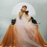 Tudo menos Indiferente