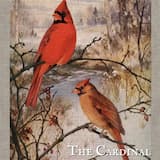 Skating on the Canal