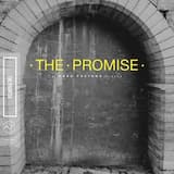 The Promise