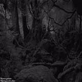 Pilgrims of Dark (Act I)