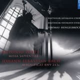 Magnificat, BWV 243a: XIII. Virga Jesse floruit