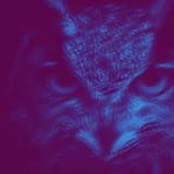 Diplomat | Afrobeat Music