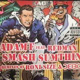 Smash Sumthin (remix by Roni Size)