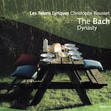 Flute Concerto in D major BR WFB C 15: I. Un poco allegro