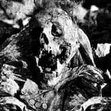 Restructuring the World With Dead Flesh & Razors