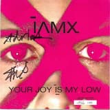 Your Joy Is My Low