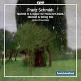 Quintet in A Major: I. Allegro moderato