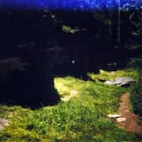 Mipha's Silver Tears