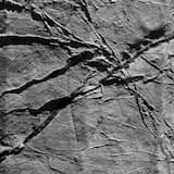 Domna Samiou 1928-2012