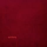 Touching the Present