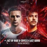 Raging Madness (Original Mix)