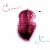 La casa de la araña