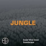 EYES, Pt. 2 (Wind Down Soundscape)