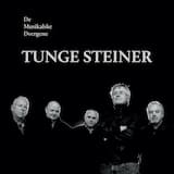 Tunge steiner