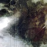 Firmenich IV: Mägelwesen