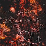 The Illusion of Consciousness