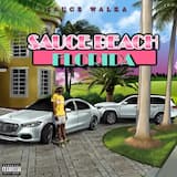 Sauce Beach Florida