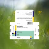 Always Together With You