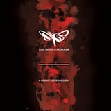 The Womb, the Woe, the Woman