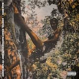 Auntie, What Happened To Me?