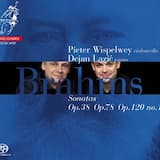 Sonata for Piano and Cello in D major, op. 78: I. Vivace ma non troppo