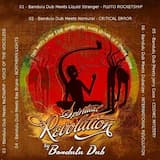 International Revolution