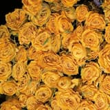 Waiting for You to Notice Me