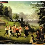 Quintette pour piano, violon, alto, violoncelle, et contrebasse en la majeur, op. 114 « La Truite », D 667 : Andantino