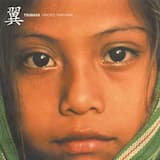 カタツムリを追いかけて