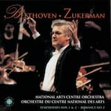 Symphony No. 2 in D Major, Opus 36: Larghetto