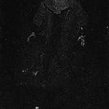 Intro: Verlassen die Hohle