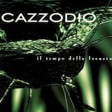 Der Integrierte Schaltkreiskäfig