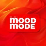 Upbeat Super Funky Groove