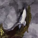 Pitiless Impermanence