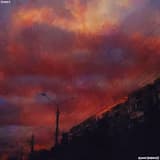 View of the Forest and Spicy Wine