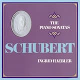 Piano Sonata No. 19 in C Minor, D. 958 : Schubert: Piano Sonata No. 19 in C Minor, D. 958 - III. Menuetto (Allegro)