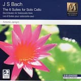 Cello Suite No. 6 in D Major, BWV 1012: IV. Sarabande
